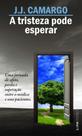 Livro - A tristeza pode esperar