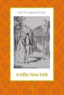 Livro - A velha Nova York