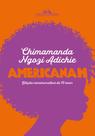 Livro - Americanah (Edição comemorativa de 10 anos) Livro - Americanah (Edição comemorativa de 10 anos)