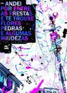 Livro - Andei por entre as frestas e te trouxe flores, pedras e algumas miudezas