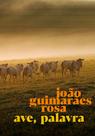 Livro - Ave, Palavra
