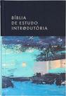 Livro - Bíblia de Estudo introdutória NVI, Capa dura com tecido, Leitura Perfeita