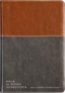 Livro - Bíblia de estudo introdutória, NVI, Couro-soft marrom e cinza chumbo, Leitura Perfeita
