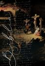 Livro - Biblia Ntlh Youversion Calvario Livro - Biblia Ntlh Youversion Calvario