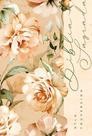 Livro - Biblia Ntlh Youversion Floral Rose