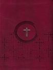 Livro - Biblia Nvi Slim Vinho Cruz - 3ªed