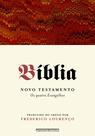 Livro - Bíblia - Volume I