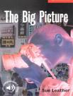 Livro - Big Picture, The - CAMBRIDGE UNIVERSITY