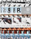 Livro - Bogner moments - 1932-2012 Livro - Bogner moments - 1932-2012