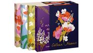 Livro - Box Collen Hoover