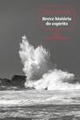 Livro - Breve história do espírito (Nova edição)