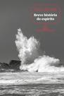 Livro - Breve história do espírito (Nova edição)