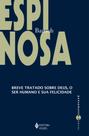 Livro - Breve tratado sobre Deus, o ser humano e sua felicidade