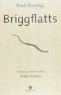 Livro - Briggflatts Livro - Briggflatts