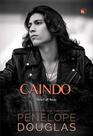 Livro - Caindo (Fall Away Livro 4)