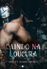 Livro - Caindo na Loucura (Winterland Tale Livro 1)