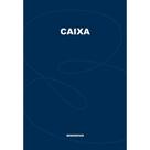 Livro Caixa Grande 100 Folhas Modelo Deve X Cai para Controle Financeiro Azul