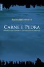 Livro - Carne e pedra (edição de bolso)