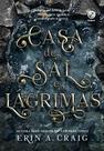 Livro - Casa de sal e lágrimas (Vol. 1 Irmãs do Sal)