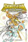 Livro - Cavaleiros do Zodiaco The Lost Canvas Gaiden Especial Vol. 15