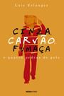 Livro - Cinza, carvão, fumaça e quatro pedras de gelo