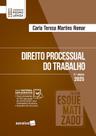 Livro - Coleção Esquematizado - Direito Processual do Trabalho - 5ª Edição 2025
