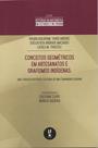 Livro - Conceitos geométricos em artesanatos e grafismos indígenas: uma tradição histórico cultural de uma comunidade Guarani