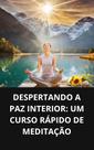 Livro Despertando a Paz Interior Um Curso Rápido de Meditação Livro Despertando a Paz Interior Um Curso Rápido de Meditação