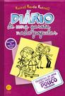 Livro - Diário de uma garota nada popular Livro - Diário de uma garota nada popular