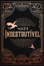 Livro - Diário Oficial de Chama de Ferro