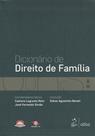Livro - Dicionário De Direito De Família – Vol. 1