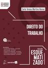 Livro - Direito do Trabalho - Coleção Esquematizado - 11ª Edição 2026