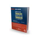 Livro Direito do Trabalho e Processo do Trabalho - 2ª Edição Trabalhista - Editora Mizuno
