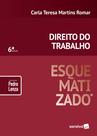 Livro - Direito do trabalho esquematizado® - 6ª edição de 2019