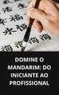 Livro Domine o Mandarim Do Iniciante ao Profissional