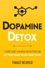 Livro Dopamine Detox: um pequeno guia para remover distrações