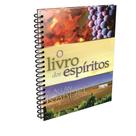 Livro dos Espíritos (O) - Espiral - EME -