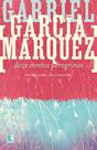 Livro - Doze contos peregrinos