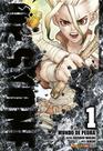 Livro - Dr. Stone Vol. 1