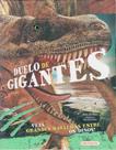 Livro - Duelo de gigantes