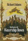 Livro - Em busca de Watership Down
