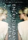 Livro - Encruzilhada