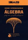 Livro - Ensino e aprendizagem de álgebra: pesquisas e propostas pedagógicas