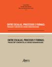 Livro - Entre Escalas, Processos e Formas