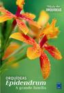 Livro - Epidendrum: a grande família - Mestre das Orquídeas - Volume 25
