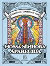 Livro - Exercicios Espirituais Com Nossa Senhora Aparecida