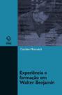 Livro - Experiência e formação em Walter Benjamin