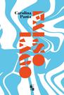 Livro - Falso Lago