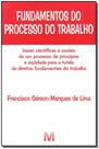 Livro - Fundamentos do processo do trabalho - 1 ed./2010