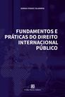 Livro - Fundamentos e Práticas do Direito Internacional Público